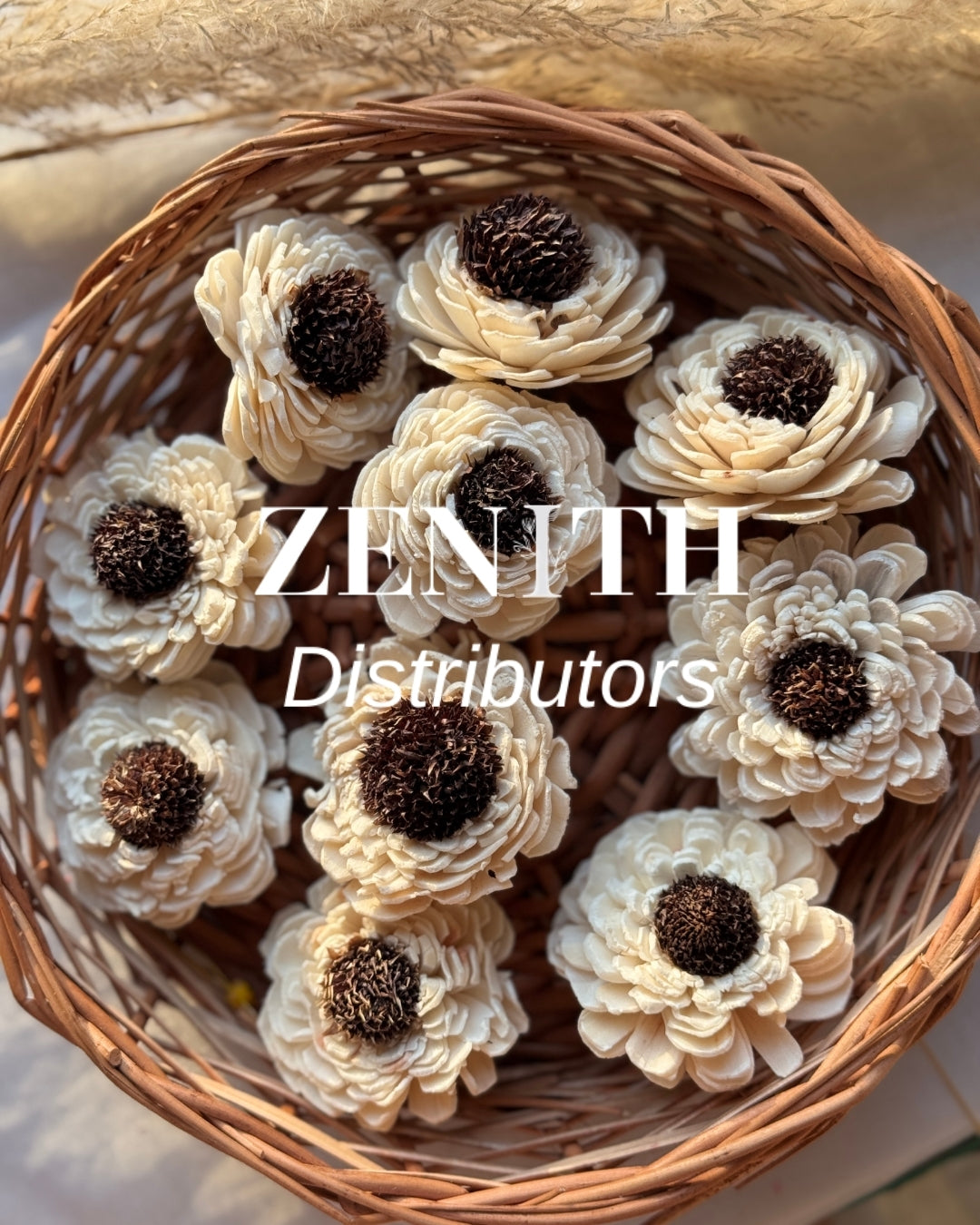 Dagji