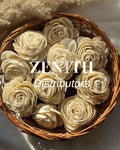 Beauty Rose