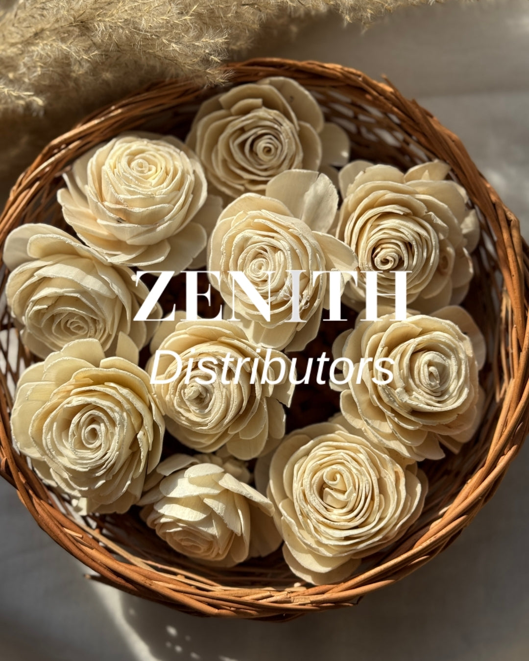 Beauty Rose