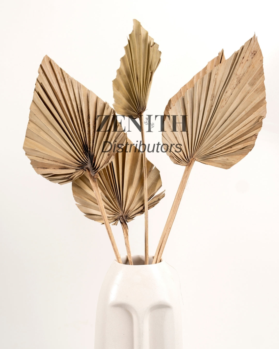 Spear Palm Leaf