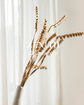 Spring Palm (Golden)