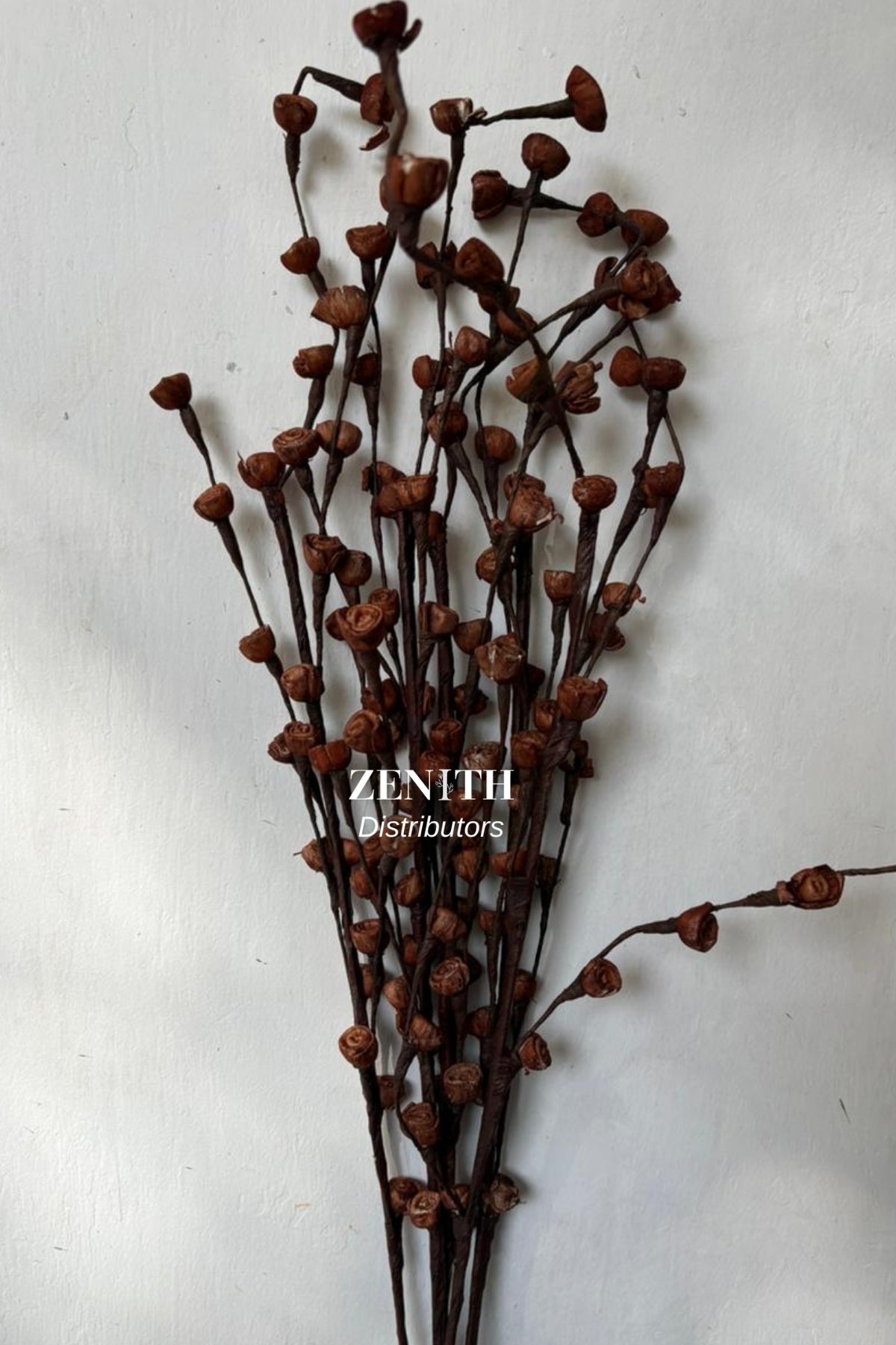 Sola Bud Rose | Set of 10 Sticks