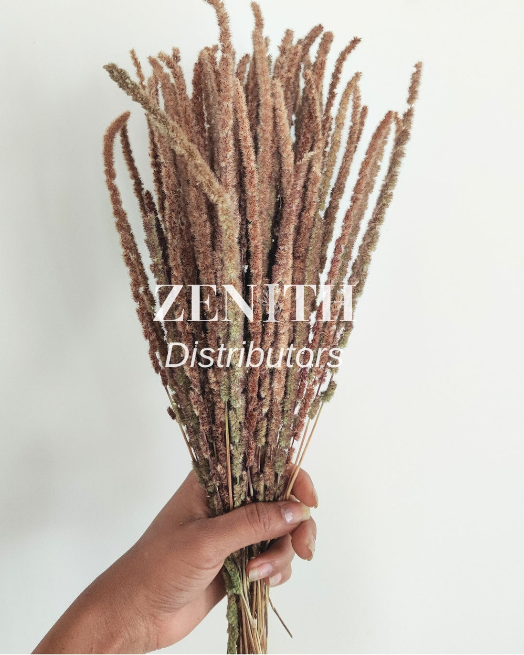 Wild Grass