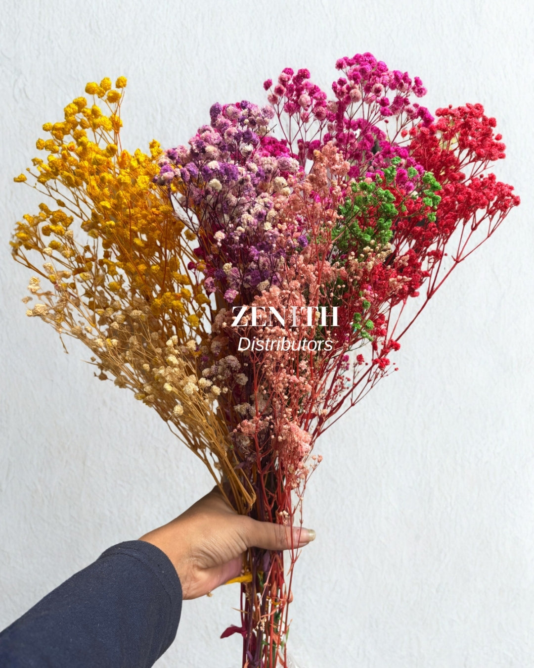 Preserved Baby's Breath | Bunch of 100 Grams