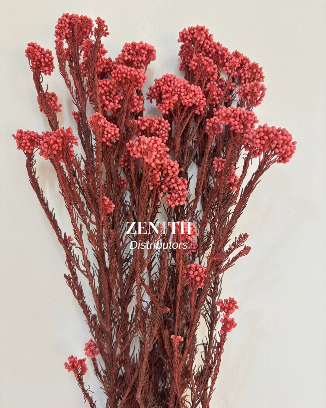 Rice Flower