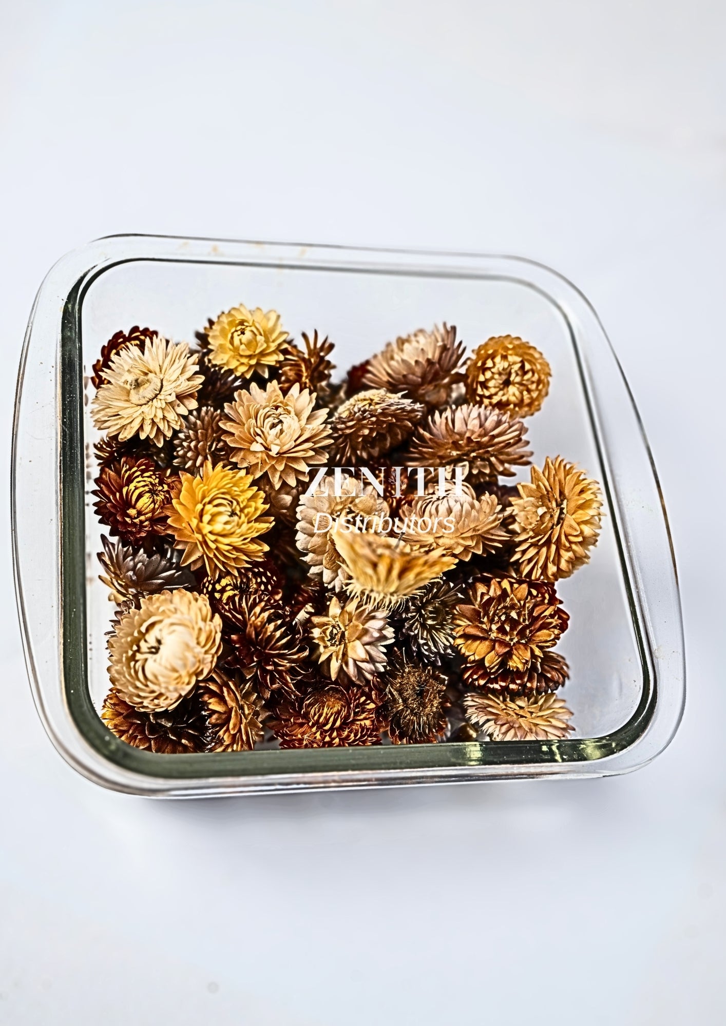 Straw Flowers